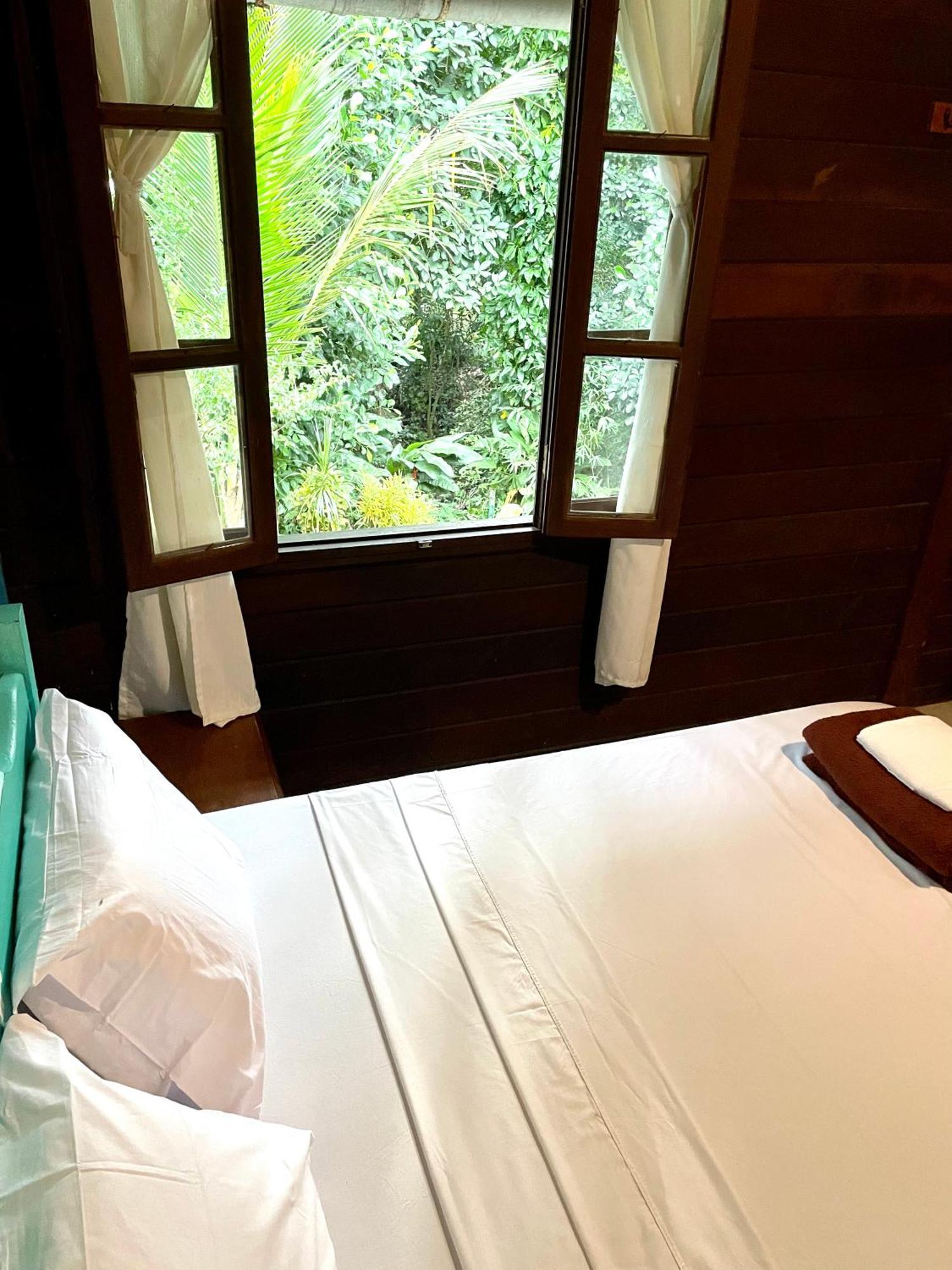 Casa Selva - Vila Do Abraao - Ilha Grande エクステリア 写真